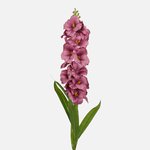 Purple (L837K-06)