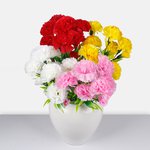Mix 1 (Q492-02)