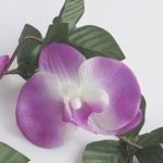 Lilac (K034-05)