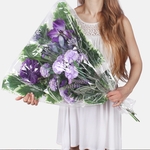 Violet (X900C)
