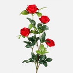 Pure Red (L098K-06)