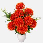 Orange (Q820K-02)