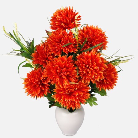 Chryzantema x 18