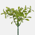 Green (A241)