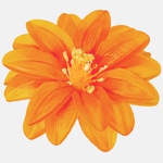 Orange (W624-11)