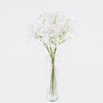 White (G446-01)