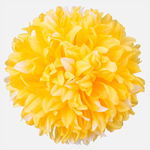Yellow/White Touch (W001-05)
