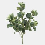 Green (QA349-01)