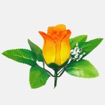 Yellow/Orange Edge (W484P-11)