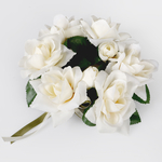 Cream (U247-02)