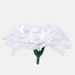 Pure White (W680-02)