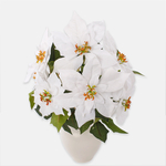White (QA705S-02)