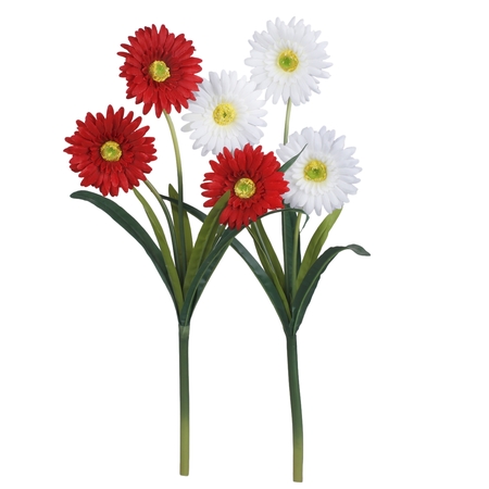 Gerbera x 3