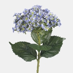 Lt. Blue (L857-01)