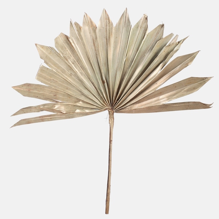Naturalny pozłacany liść palmowy