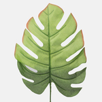 Green (A255)