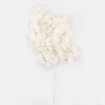 Cream (L320-01)