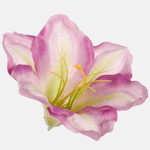Lilac/Green (W685-07)