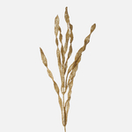 Gold (S686-01)