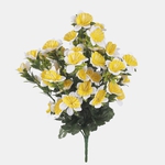 Yellow/White (QA062-01)