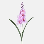 Lilac (G469-06)
