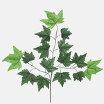 Green (F226-01)