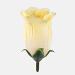 T.T. Yellow (W645-07)