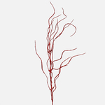 Red (S677-01)