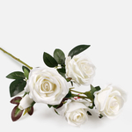 Cream (L770-02)