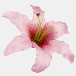 Mauve (W197-20)
