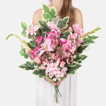 Pink (X006J)