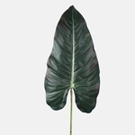 Dk. Green (A286)
