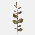 Dk. Green (A706-01)