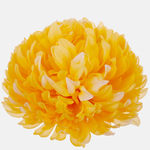 Yellow/White Touch (W710-04)