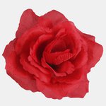 Pure Red (W087-41)