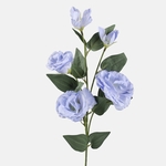 Blue (L872-07)