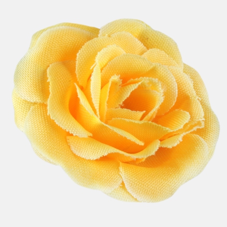 Róża mini