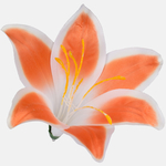 Orange/White Edge (W374-52)