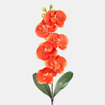 Dk. Orange (L160-09)