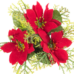Pure Red (U032S-01)
