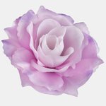 Cream/Lilac/Violet Edge (W625-33)
