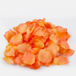 Peach (A559-09)