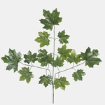 Green (F159-01)