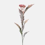 Pink (A740-02)