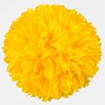 Yellow (W001-06)
