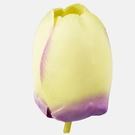 Lt. Green/Lilac (W345-15)