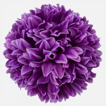 Lilac (W001-11)