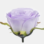 Lilac (W726-08)