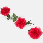 Pure Red (K033-06)